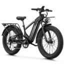 Aipas M2 Xterrain Ebike Aipas-M2-black Basket